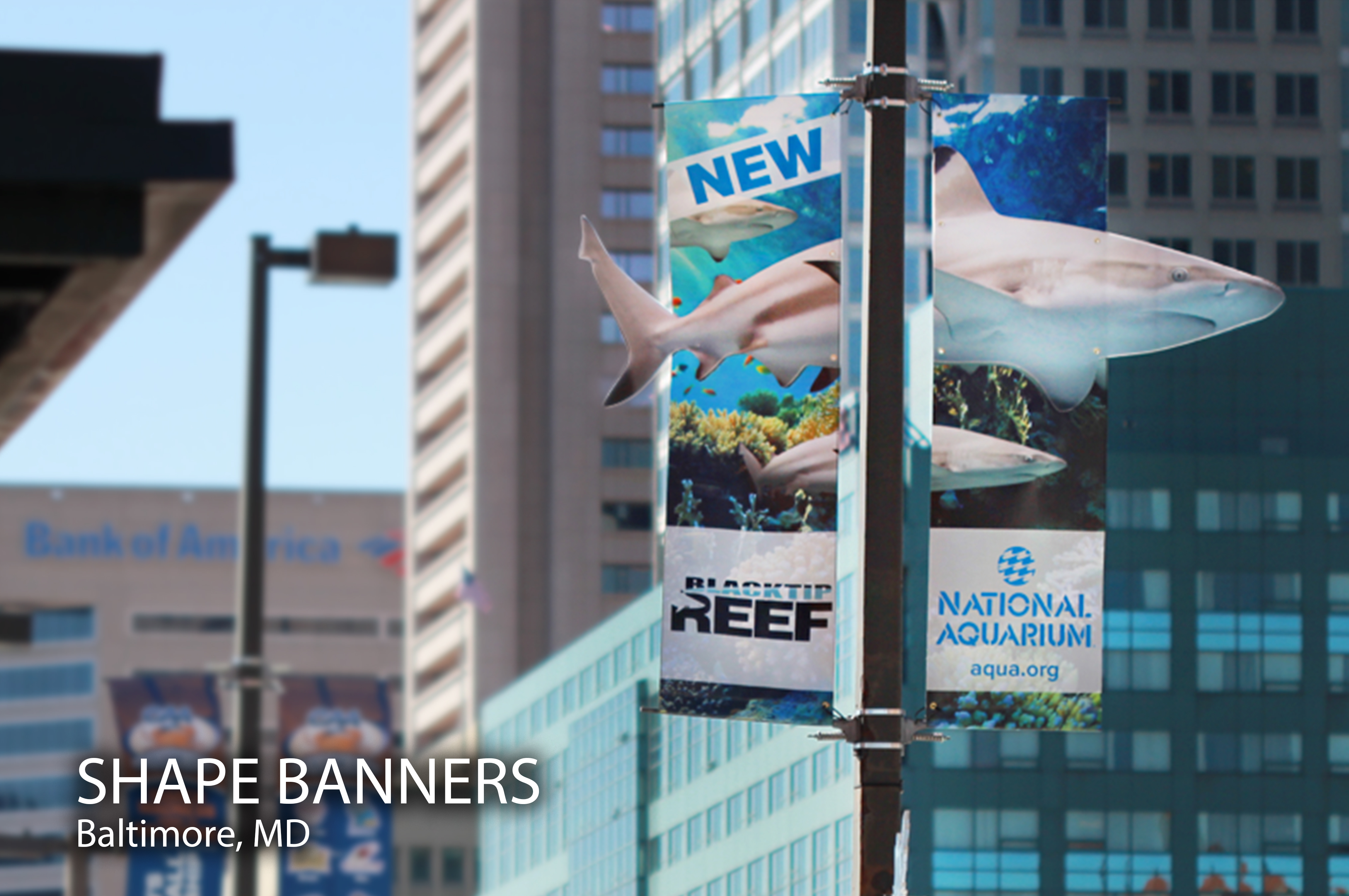 Banner saver banner brackets holding up a shark-shaped banner on a street light.