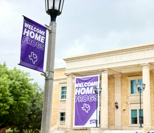 Welcome home frogs light pole banners