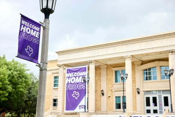 Welcome home frogs light pole banners